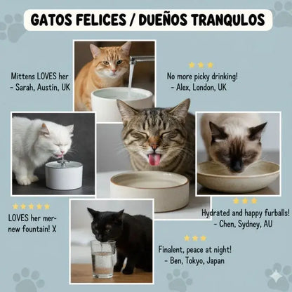 El acero que cuida lo que más amas - Fuente de agua para gatos